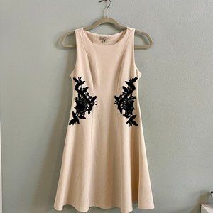 Cream Dress with Flattering Black Lace Detailing